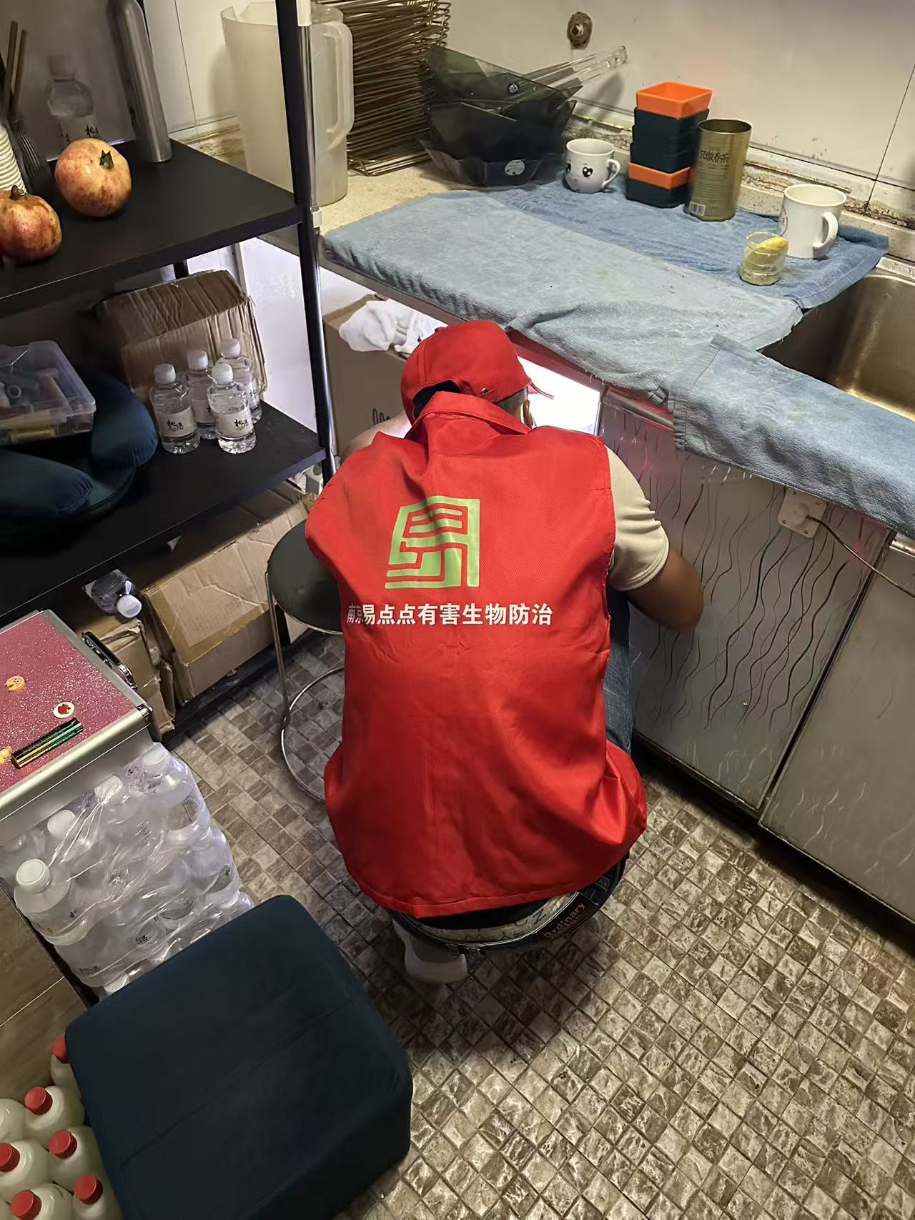 2026年灭老鼠品牌推荐，易点点除虫灭鼠上榜?