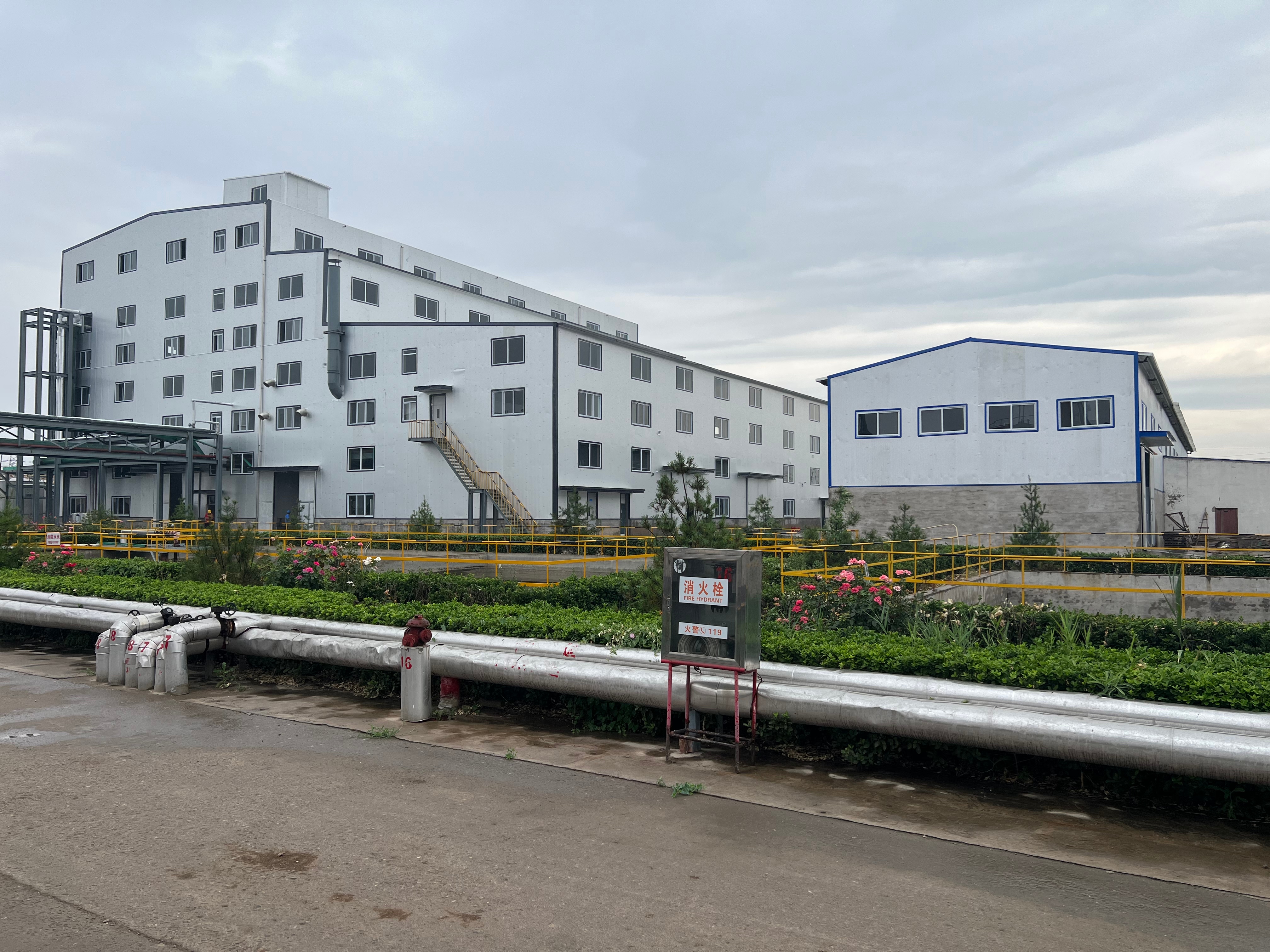 全国范围内DL苹果酸厂家排名，恒强化工能排第几