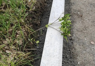 马路沿石生产企业哪家费用合理？山东山发石业告诉你