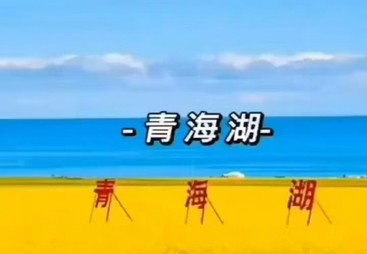 2026年资质齐全的甘南旅游包车服务商靠谱商家测评排名