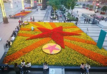 2026年口碑好的苗木直供服务商推荐，泓百卉景观客户口碑力荐