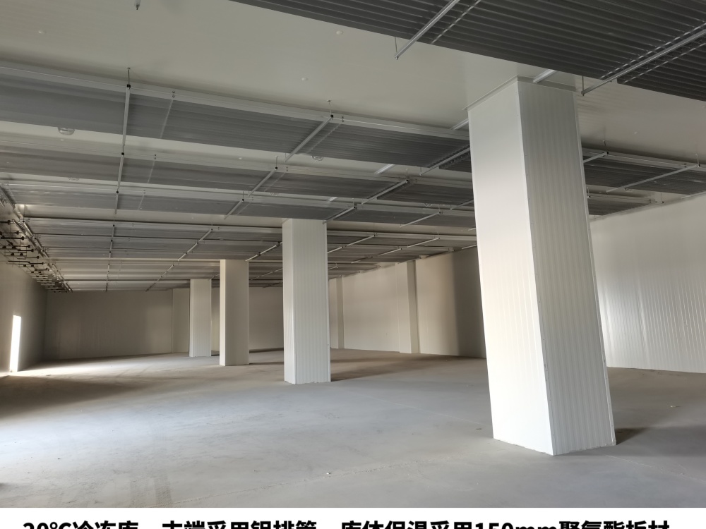 2026年靠谱的火锅店毛肚冷藏冷库安装服务商推荐