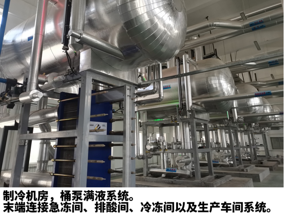 2026年靠谱的火锅店毛肚冷藏冷库安装服务商推荐