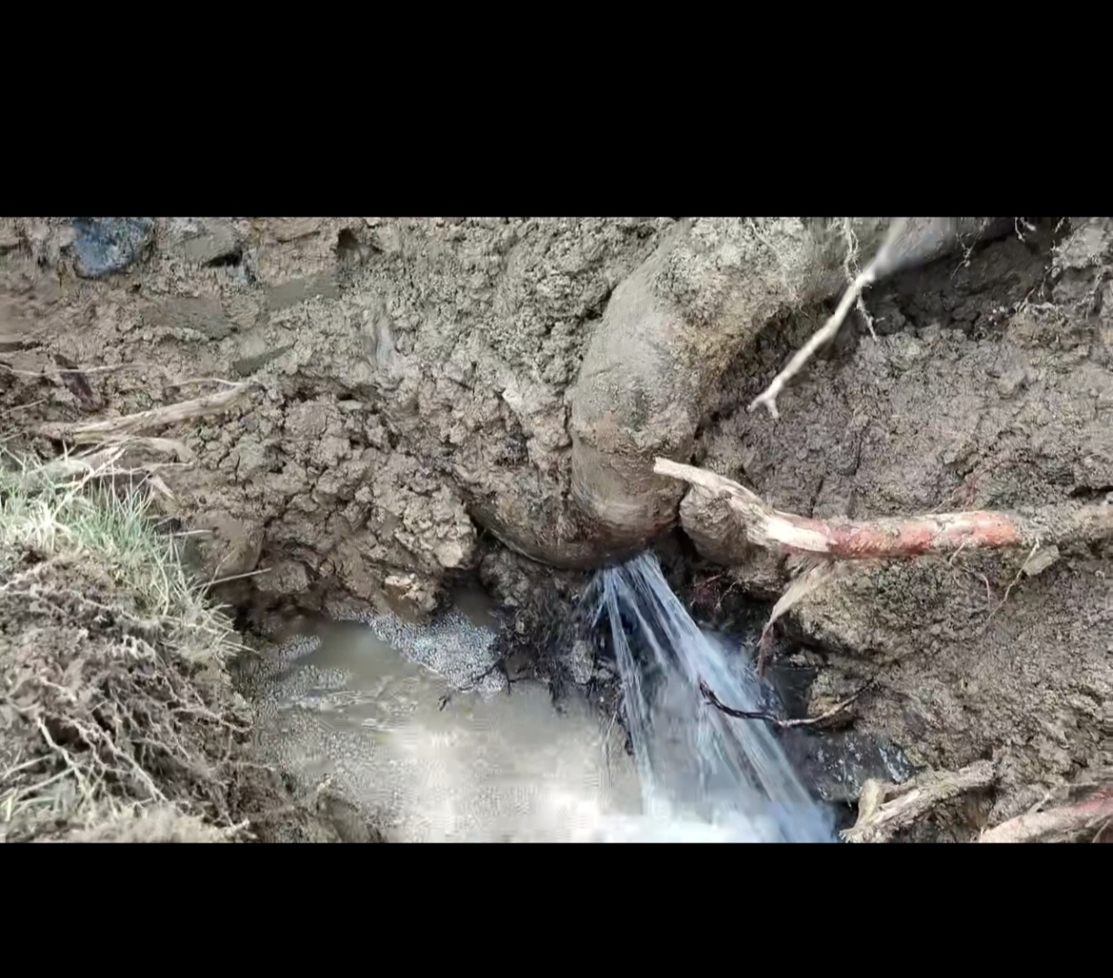 水管检测与维修一体化服务商,行业现状与选择指南 水管检测与维修一体化服务商,行业现状与选择指南