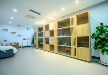 性价比高的征途众和比亚迪门店4S店盘点