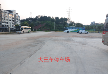 宏村租车用于婚庆选哪类车型最实用，友谊包车按人数灵活匹配不浪费