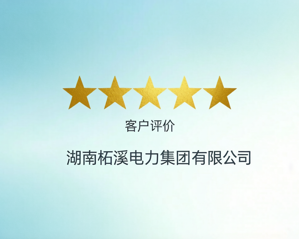 湖南柘溪电力集团有限公司-业主评价表