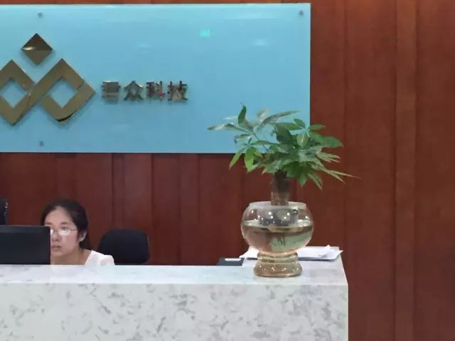 室内办公绿植租赁价格合算吗,靠谱服务商推荐 室内办公绿植租赁价格合算吗,靠谱服务商推荐