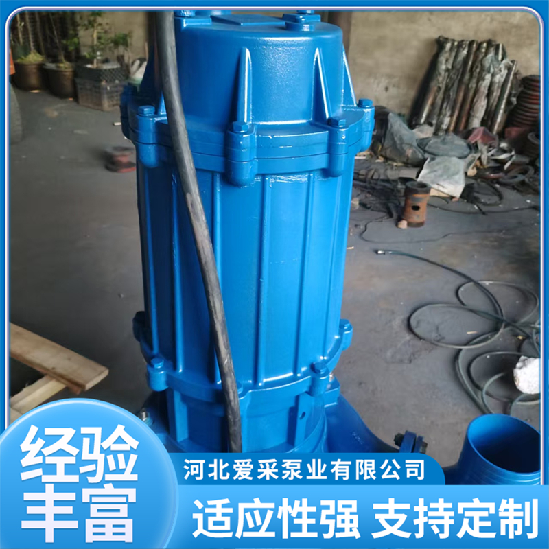 2026年评价高的潜水渣浆泵生产厂 员工素质与效益双优选择