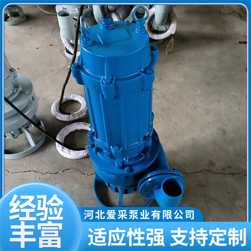 2026年评价高的潜水渣浆泵生产厂 员工素质与效益双优选择