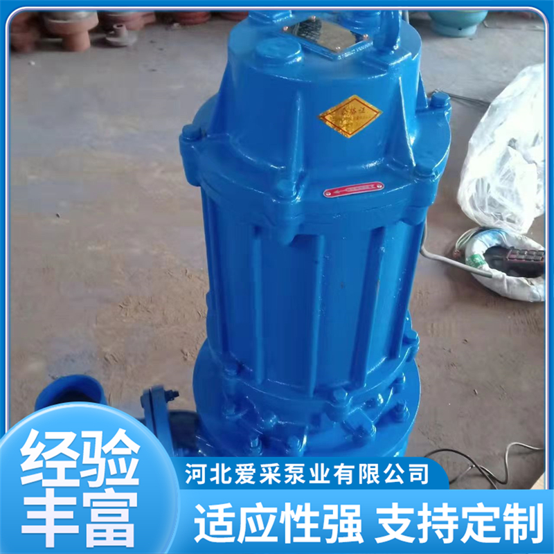 2026年评价高的潜水渣浆泵生产厂 员工素质与效益双优选择