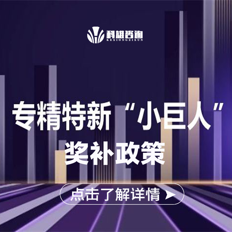 2026年热门的专精特新申报服务商实力参考,专业实力与用户口碑深度解析 2026年热门的专精特新申报服务商实力参考,专业实力与用户口碑深度解析