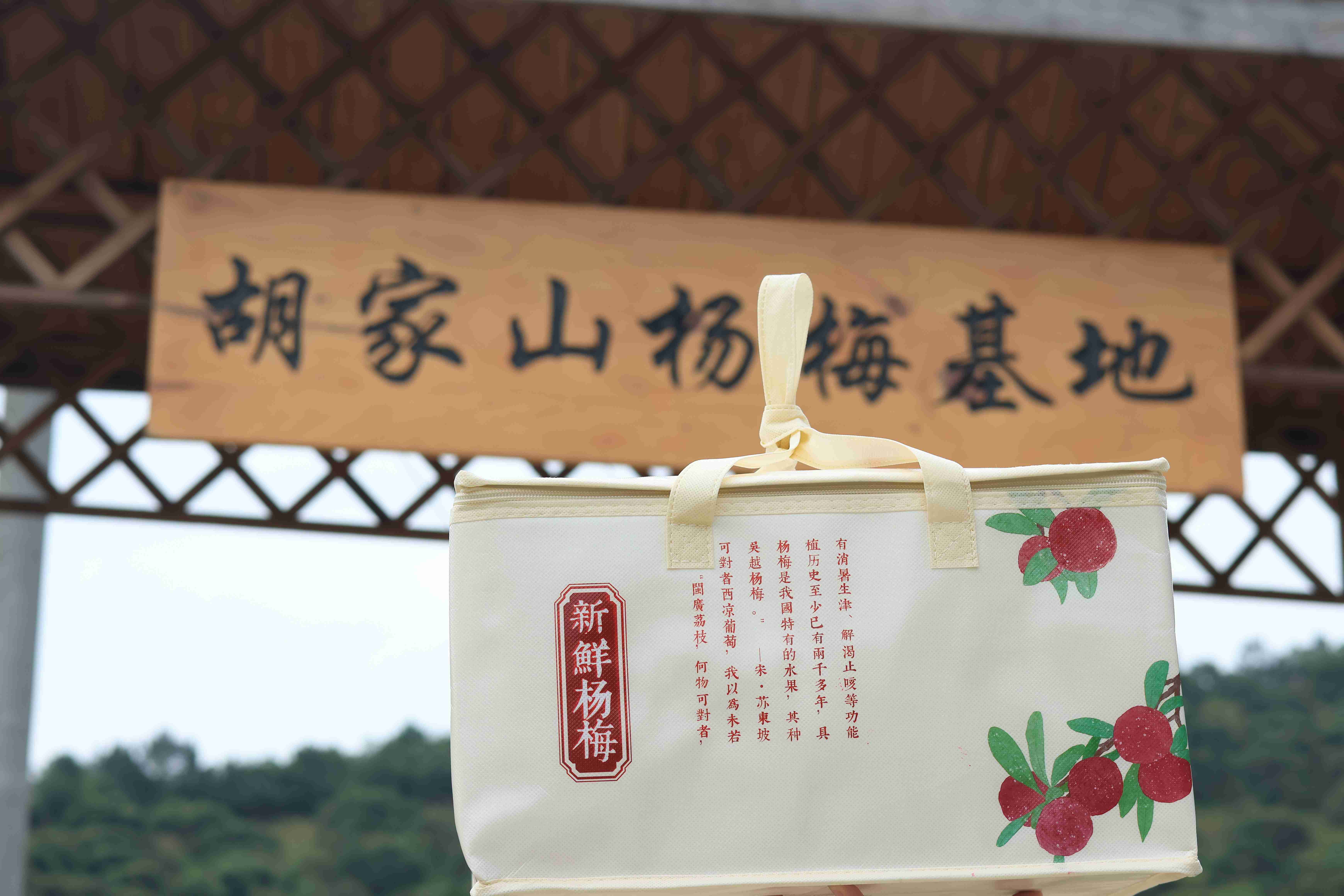 2026年如何选择服务好的杨梅采摘？甬庄杨梅告诉你