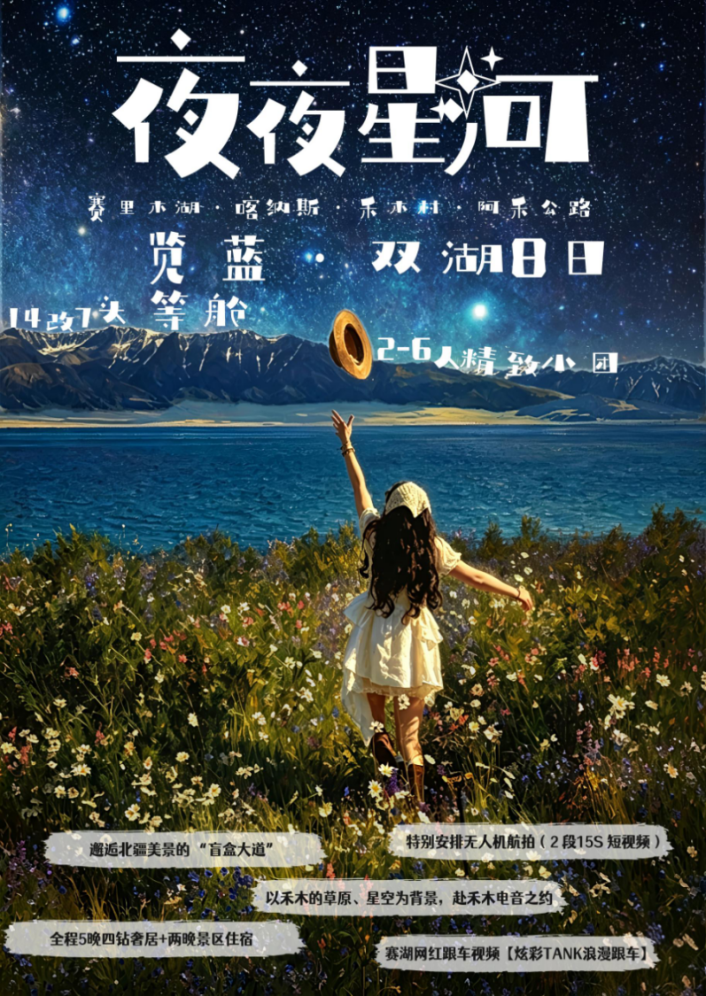2至6人拼车游平台选购指南