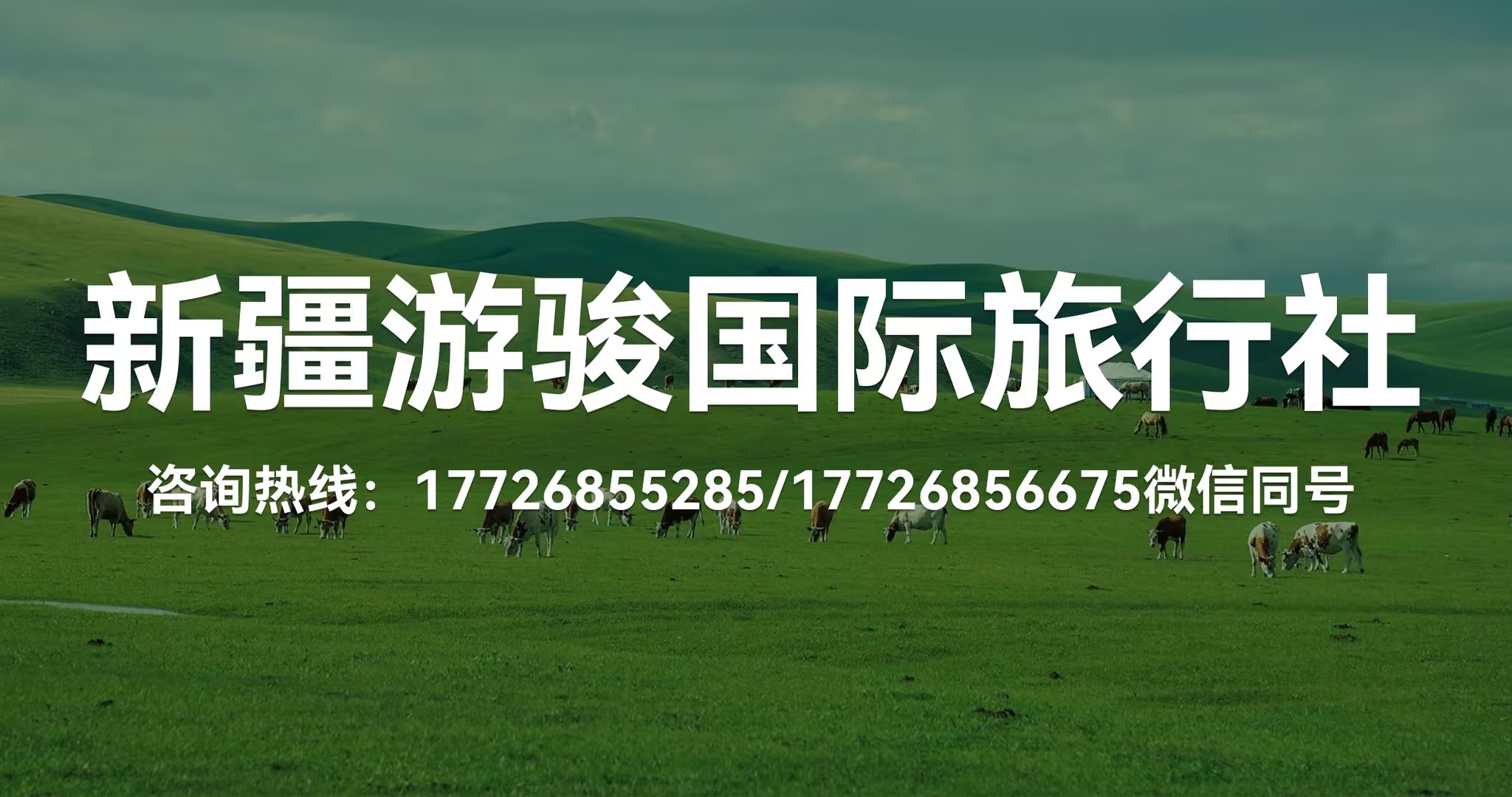 2026年新疆排名前三旅游社哪家靠谱,用户力荐 2026年新疆排名前三旅游社哪家靠谱,用户力荐
