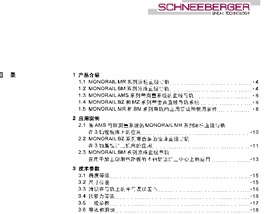 施耐博格monorail直线导轨样本