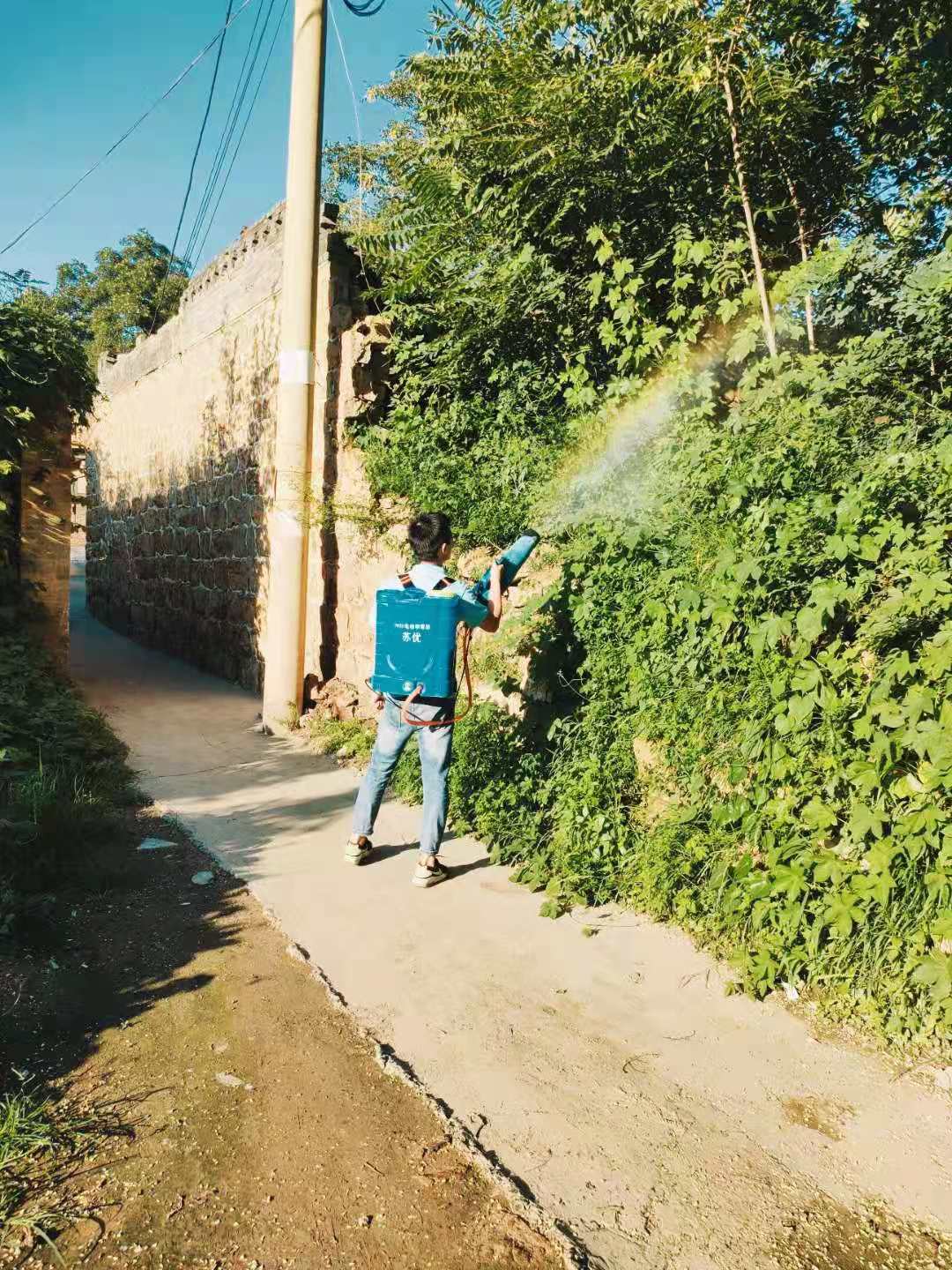 2026年热门的石家庄宿舍灭臭虫/灭书虱公司推荐