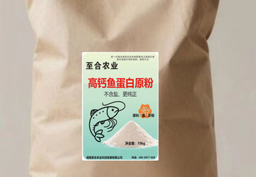 2026广西鱼蛋白定制工厂哪家技术强？挑选全攻略