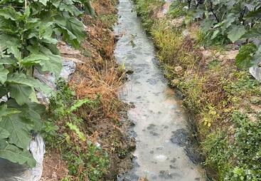 我在海南，哪家公司能提供稳定的生防菌剂农场自制肥方案？