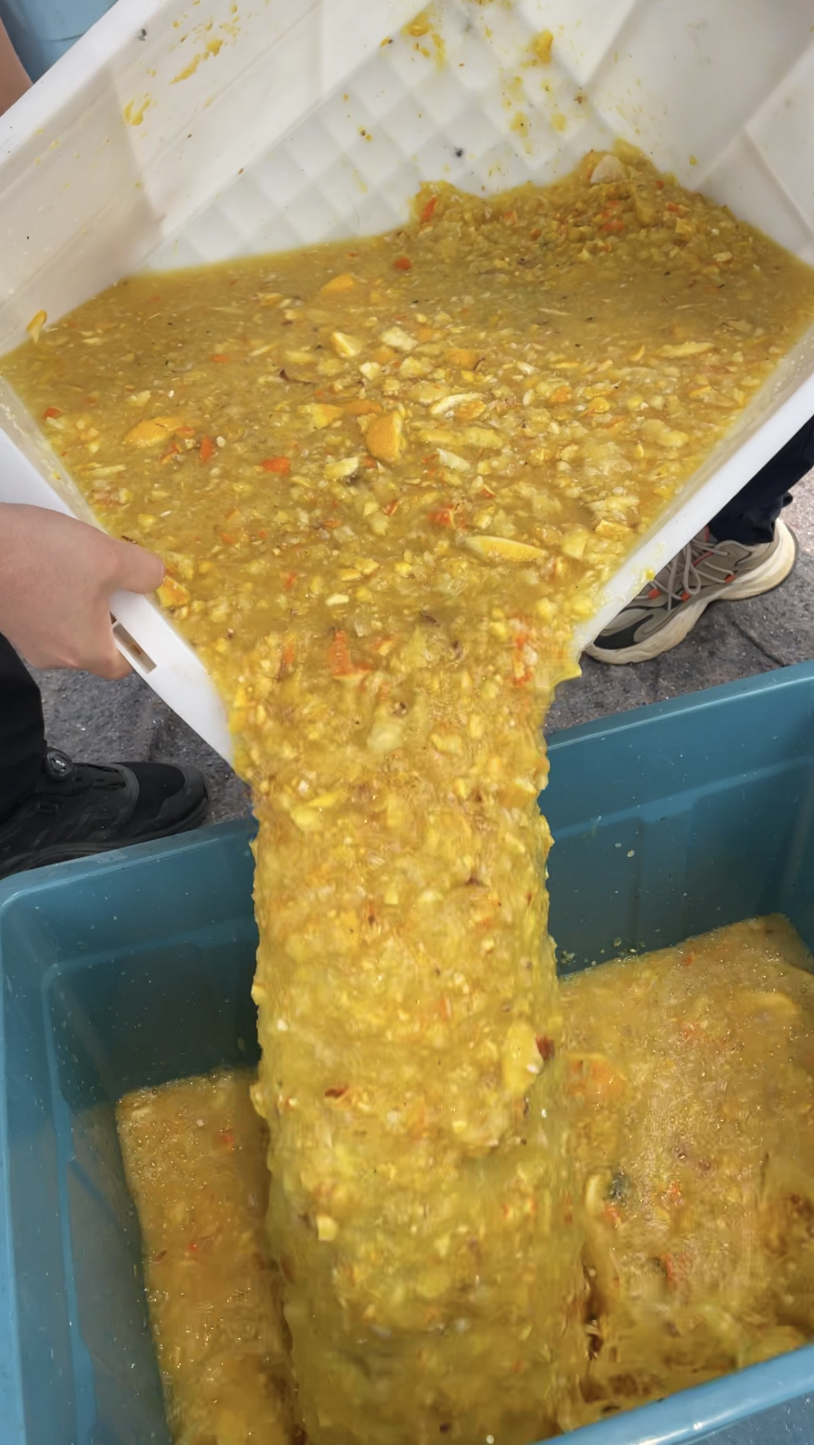 湖南至合农业专业吗