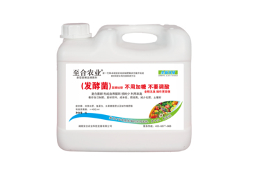 2026年南方水稻种植水肥发酵方案服务商：行业全景分析