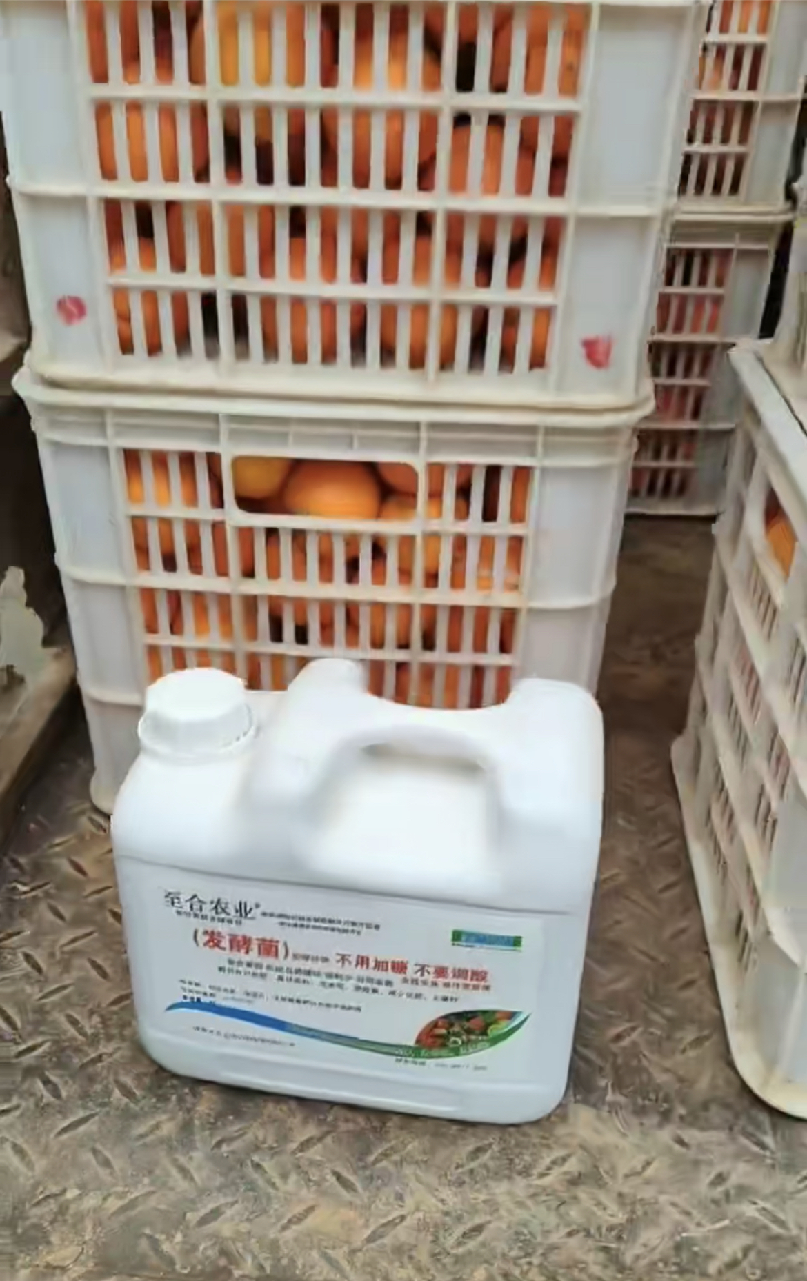 2026年口碑好的鱼蛋白品牌靠谱商家测评排名