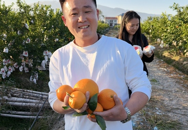 想要给果树做鱼蛋白肥找哪家买原料？至合农业省心不踩坑