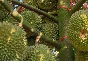 广西2026年口碑好的做有机种植水肥发酵方案的企业推荐