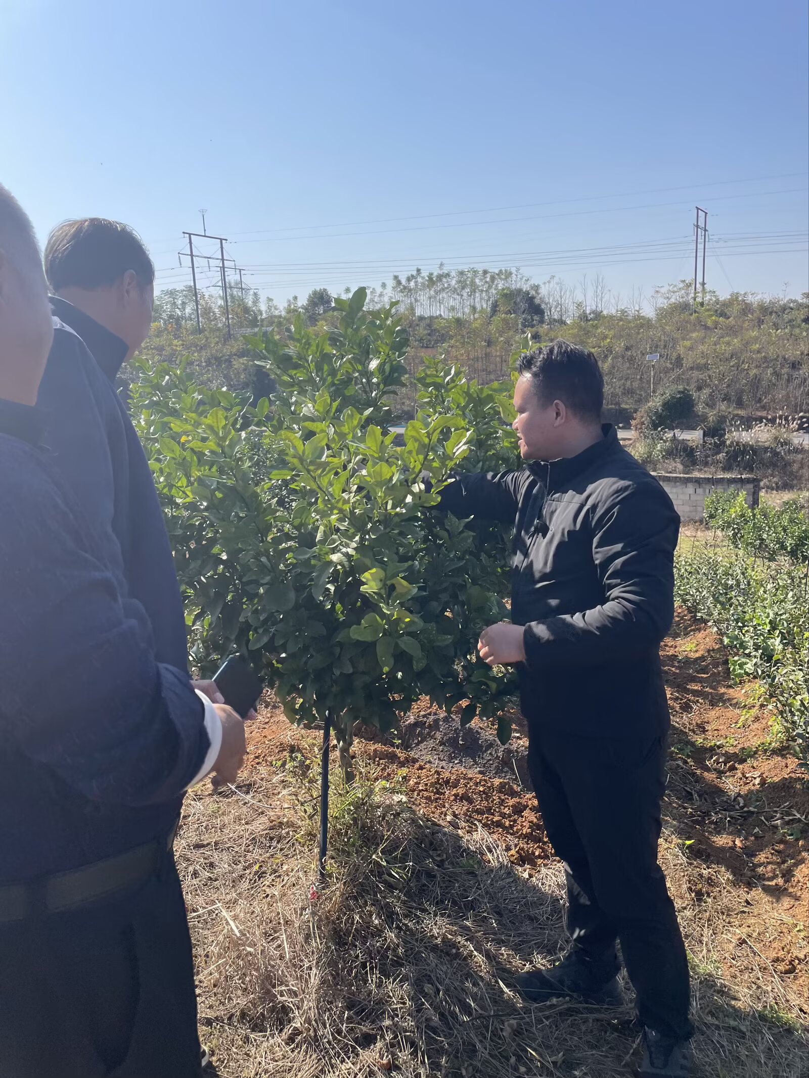 湖南正规的花生饼水肥发酵源头厂家合作实力参考