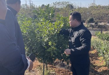 2026年知名的水肥发酵氨基酸生产厂家行业全景分析