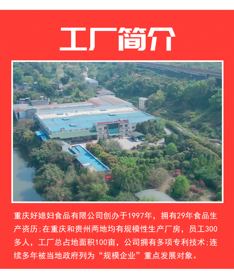 2026年重庆口碑好的街边跳水萝卜生产厂家实力与用户口碑深度解析 2026年重庆口碑好的街边跳水萝卜生产厂家实力与用户口碑深度解析