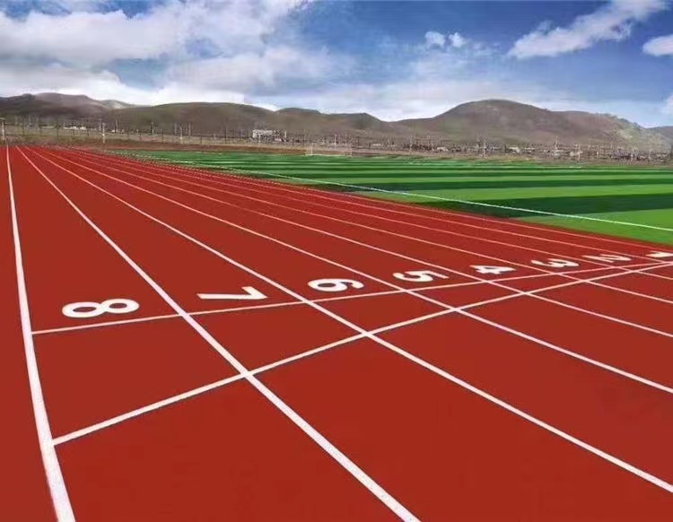 2026年热门的河北沧州塑胶跑道优质厂家选购参考汇总