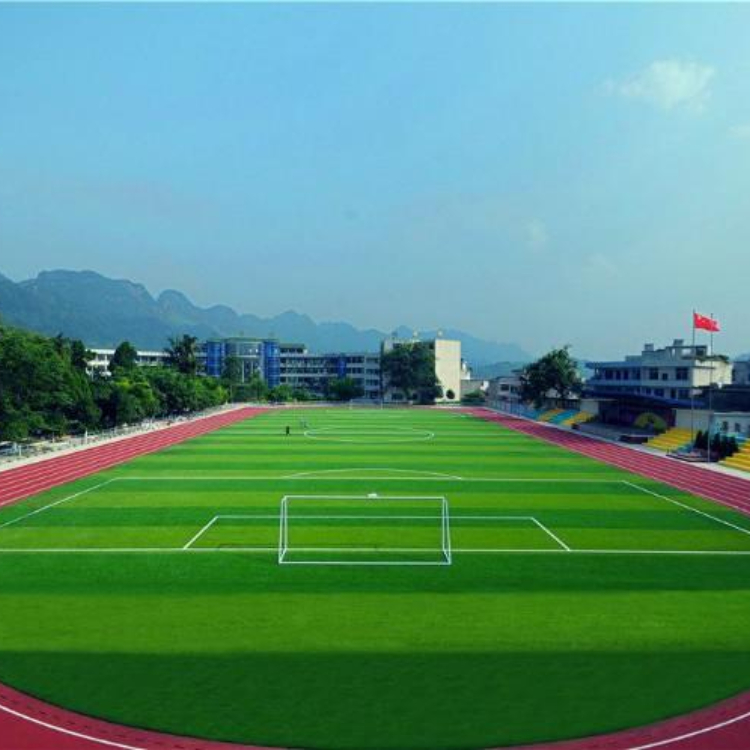 河北沧州做足球场人造草坪的厂家哪个做出口做得好 河北沧州做足球场人造草坪的厂家哪个做出口做得好