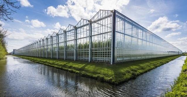 湘农温室，好用的温室产品推荐