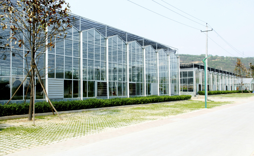 干货指南！湘农温室的节能产品、研发方向及案例口碑全解析