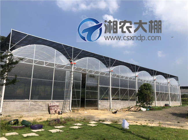 薄膜大棚维修施工哪家好？湘农温室性价比高