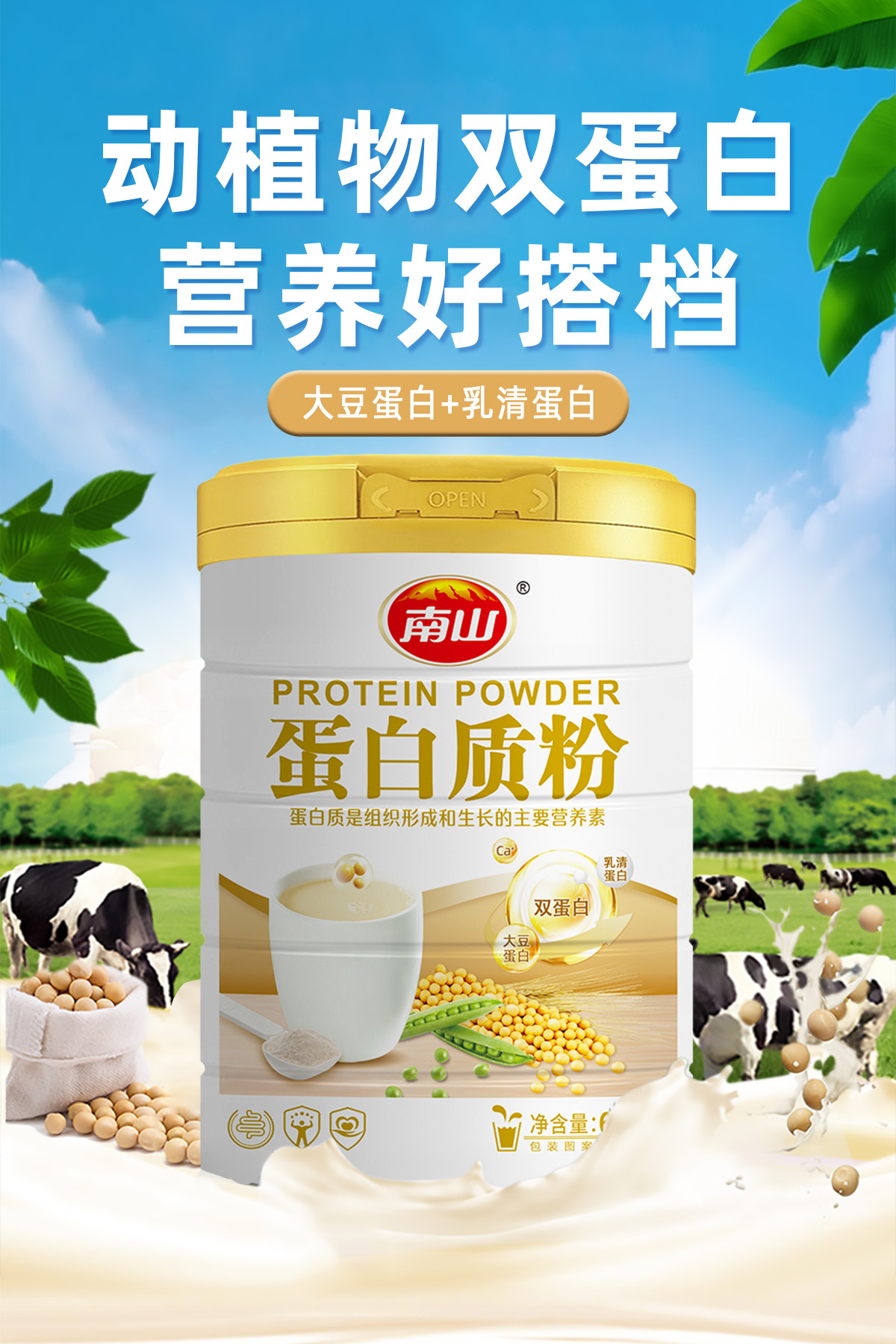 2026年湖北靠谱的蛋白粉招商品牌推荐