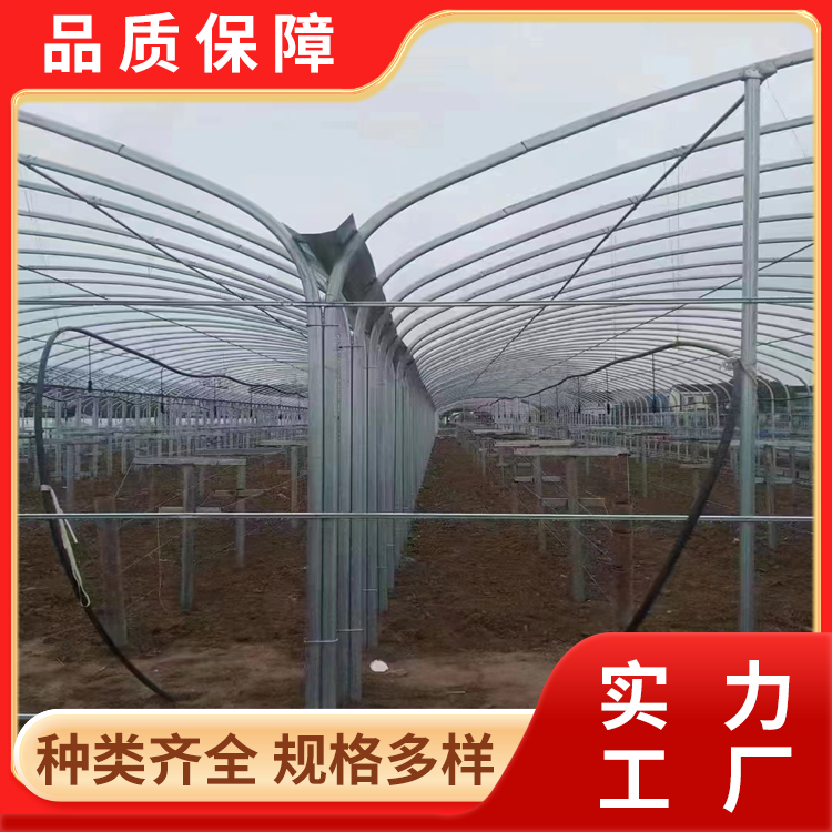 2026年正规的镀锌钢管生产厂行业现状与选择指南 2026年正规的镀锌钢管生产厂行业现状与选择指南