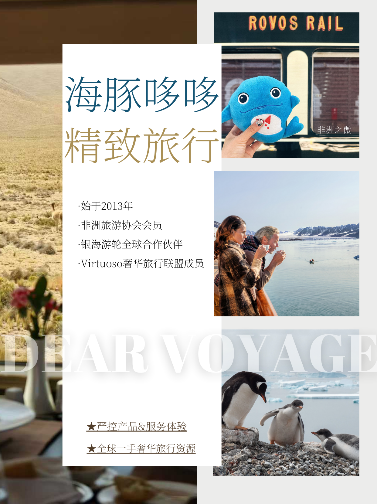 2026年深圳海豚哆哆旅行社靠谱吗?
