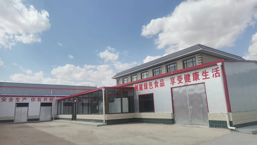 2026年广受信赖的荞麦方便食品生产厂哪家合作案例多挑选全攻略 2026年广受信赖的荞麦方便食品生产厂哪家合作案例多挑选全攻略