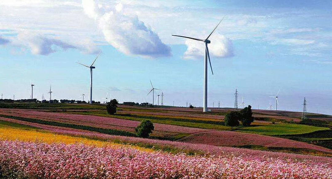2026年广受信赖的荞麦方便食品生产厂哪家合作案例多挑选全攻略 2026年广受信赖的荞麦方便食品生产厂哪家合作案例多挑选全攻略