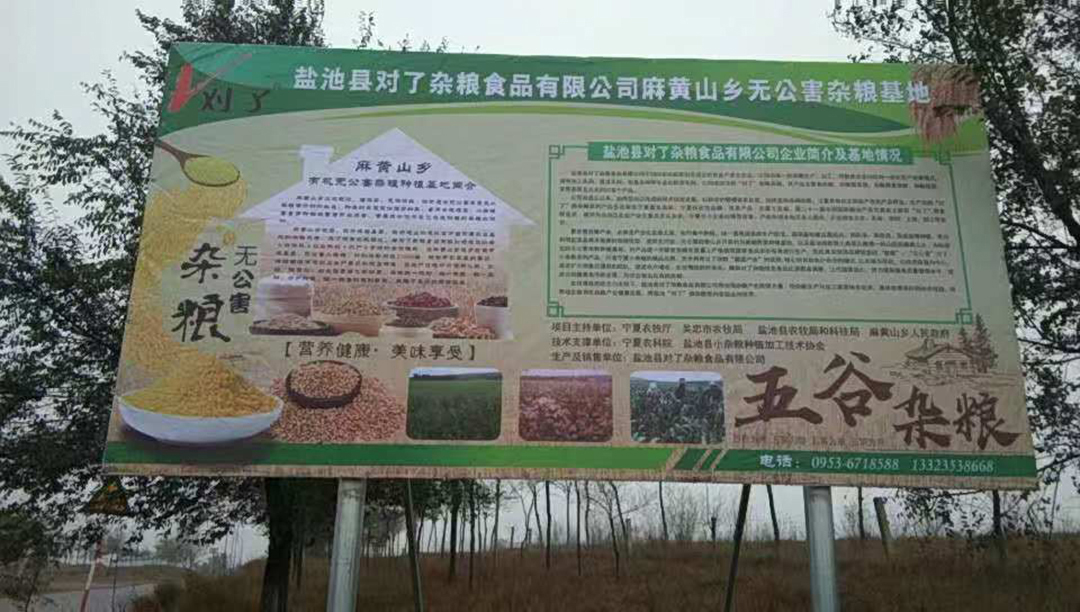 2026年靠谱的出口级荞麦生产商厂家推荐，品质甄选不踩坑