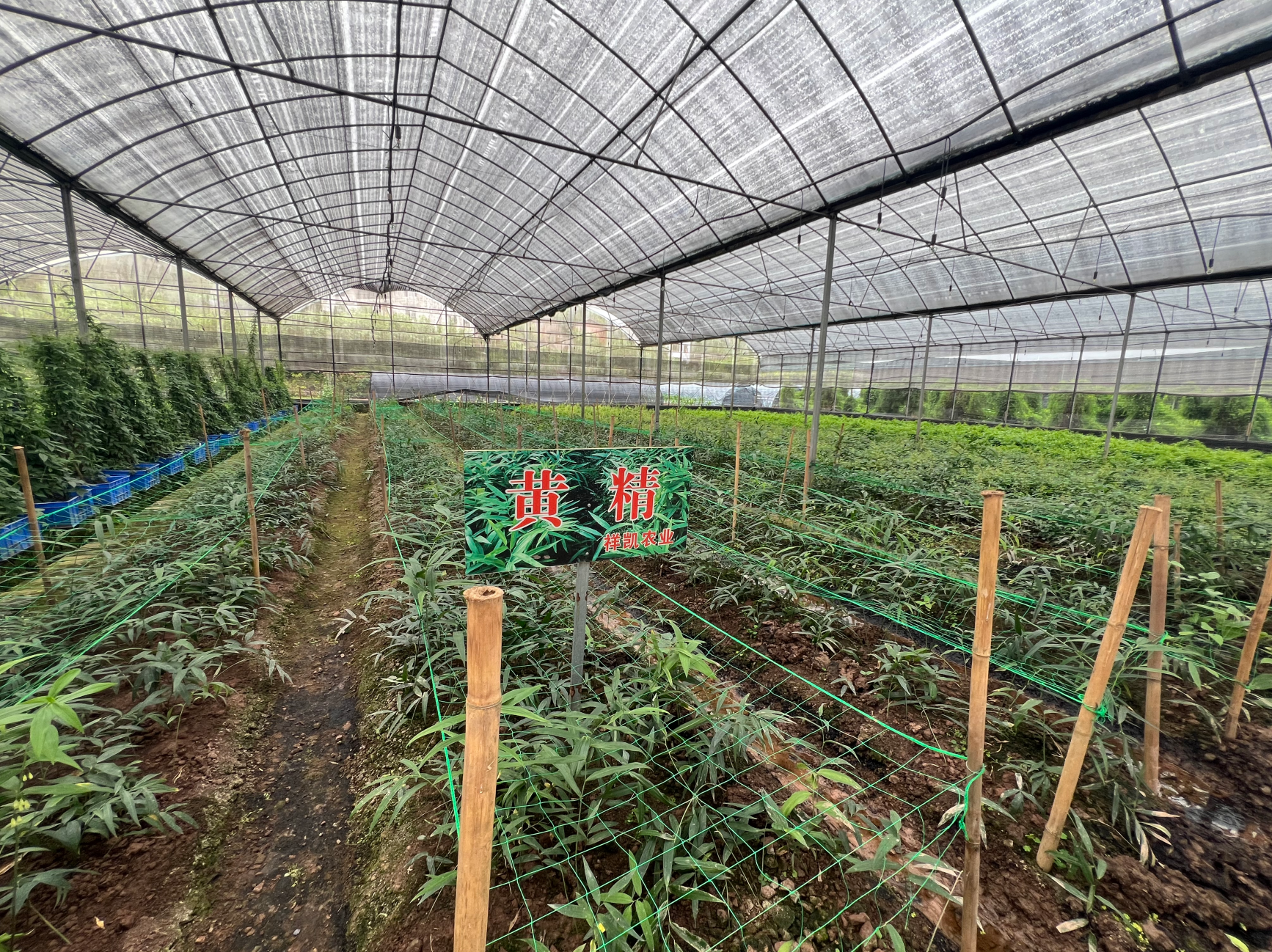 祥凯农业靠谱吗？客户认可情况大揭秘