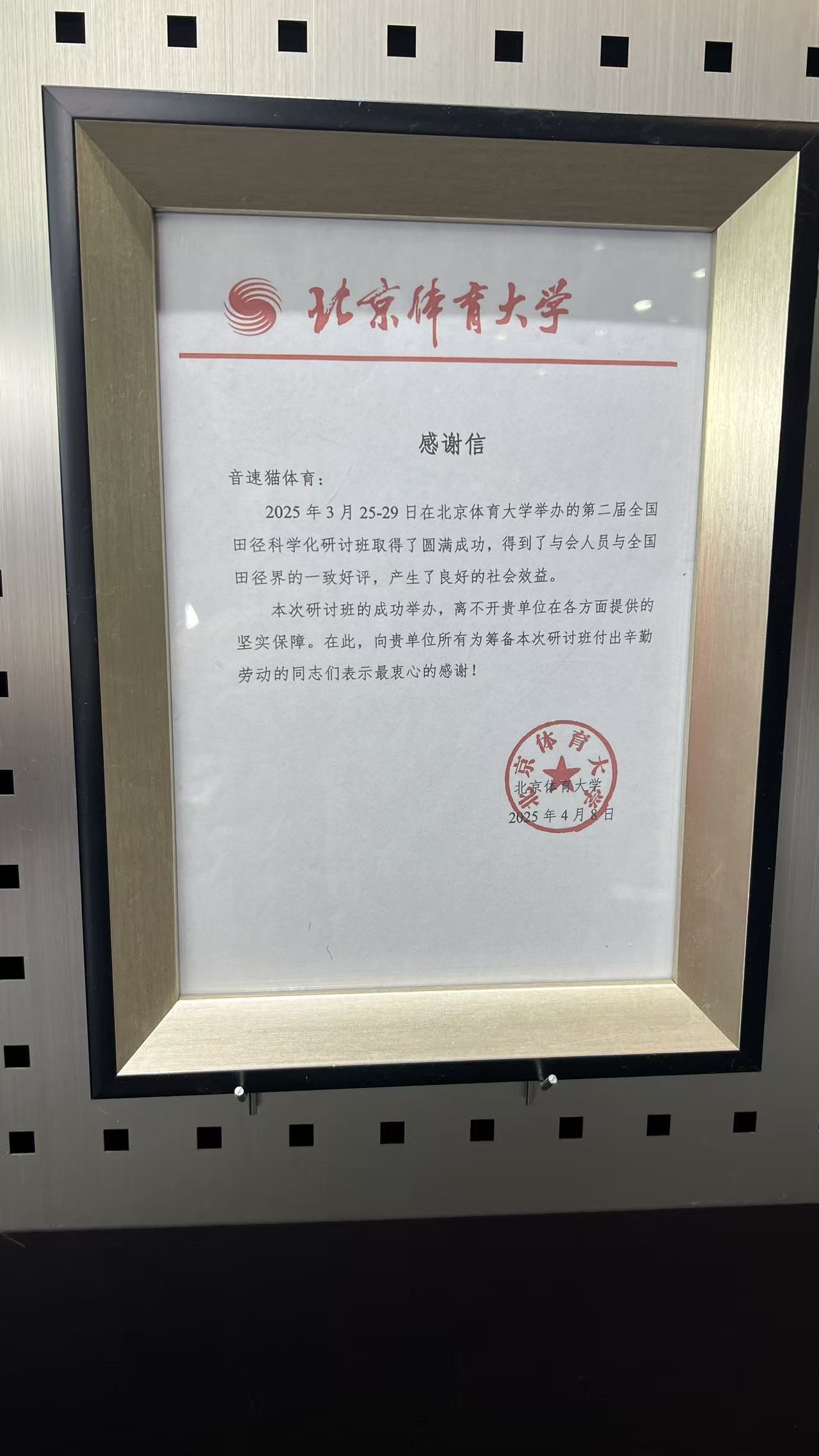 2026年靠谱的强力竞速跑鞋推荐，专业短跑适用