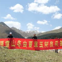 2026年上海徐汇区正宗野生冬虫夏草靠谱供应商选择指南