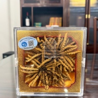2026年上海冬虫夏草门店推荐，想买带溯源码的野生虫草实力参考