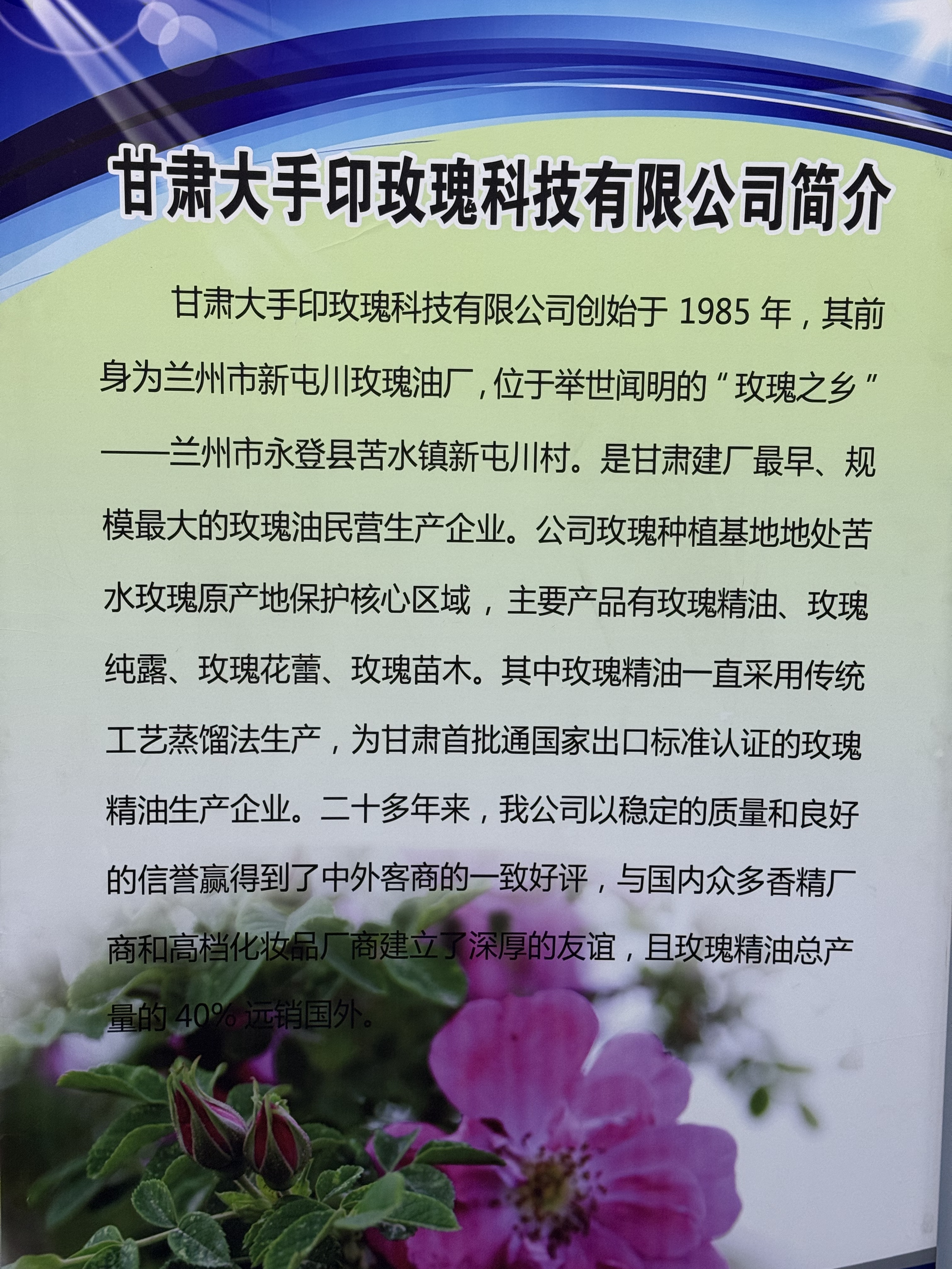大手印玫瑰省级农业产业化龙头企业技术创新解读