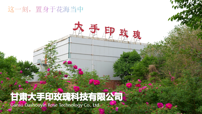 大手印玫瑰省级农业产业化龙头企业如何选择？