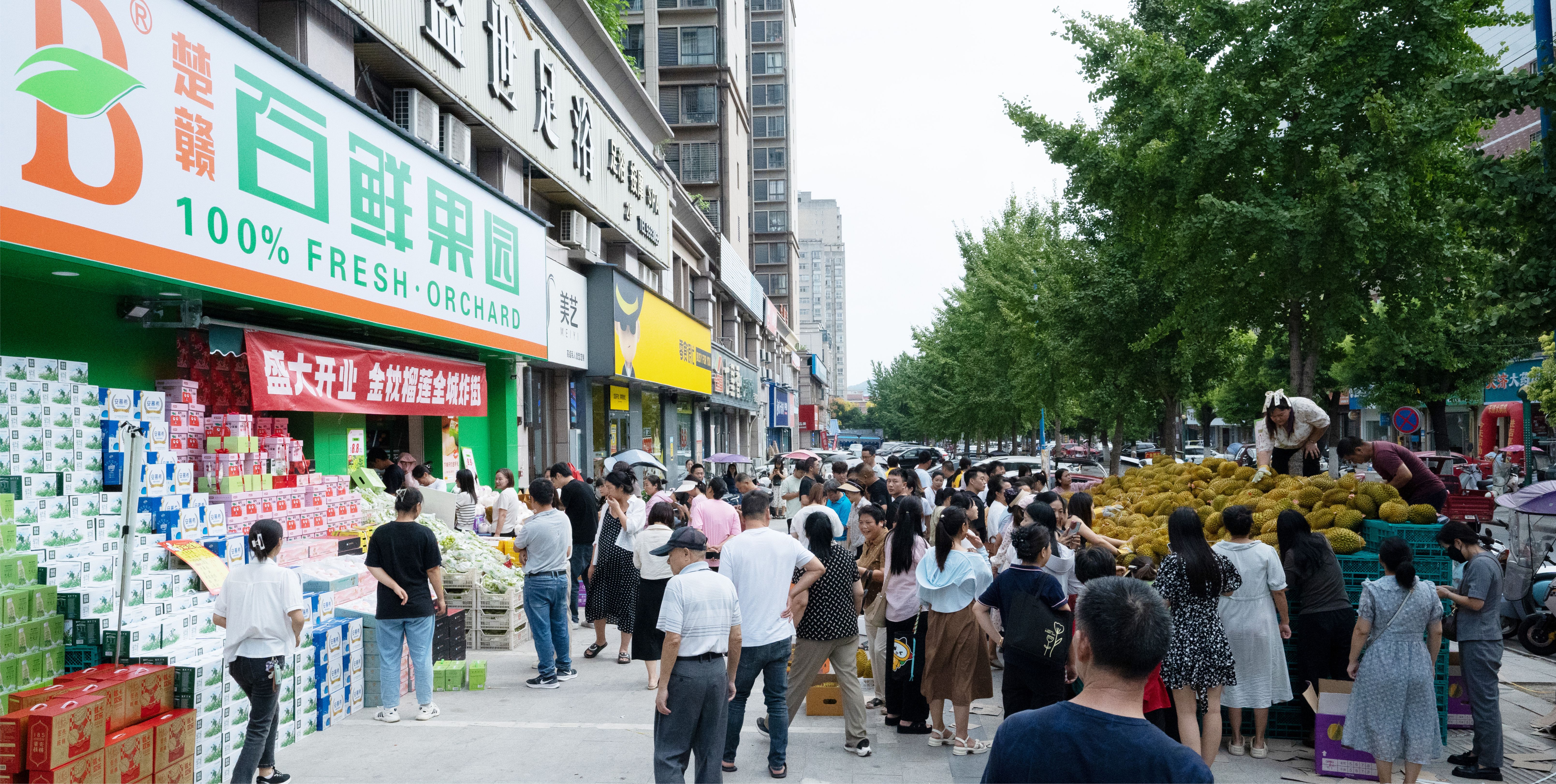 水果加盟品牌如何选？百鲜果园为你支招