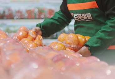 十堰有商学院培训的水果加盟品牌，百鲜果园9W9开店计划低门槛启动